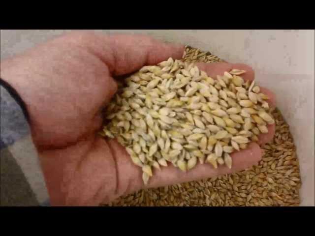 Barley to Beer (in 100 seconds)