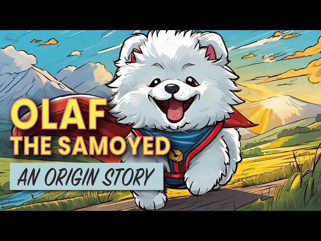 The Story of How We Got Our Samoyed