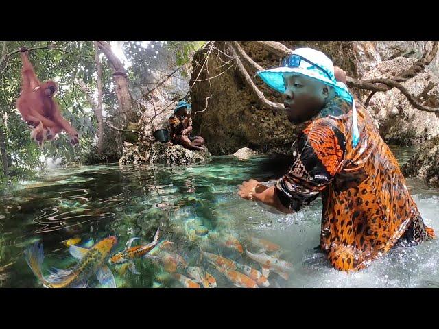 Telaga Bening YG Dikelilingi Hutan Angker, Bersarang Ikan-ikan Mahal Kelas atas.