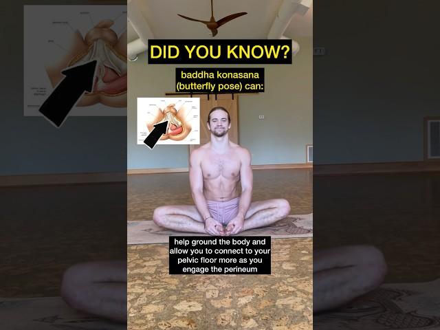 Butterfly pose (baddha konasana) benefits ️ #butterflypose #perineum #pelvicfloor #shorts #yoga