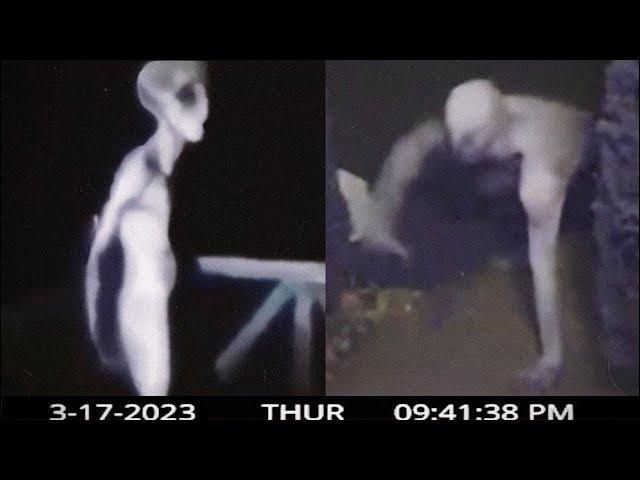 Freaky Alien Encounters That Can't Go Unnoticed