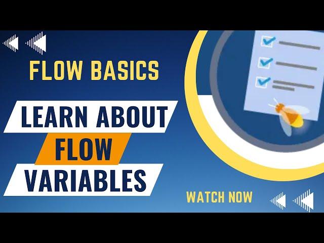 Salesforce Trailhead - Learn About Flow Variables