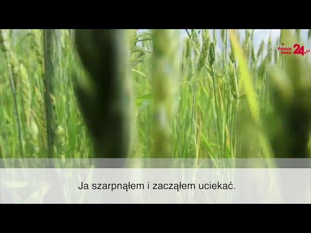 "Piłą w pół rżnęli jak drzewo mamusię". Wstrząsająca relacja z rzezi wołyńskiej