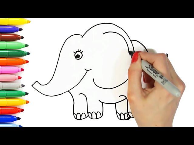 10 Easy Animal Drawings for Kids Vol. 1 | Step by Step Drawing Tutorials | How to Draw Cute Animals