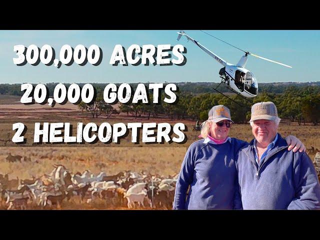 Jaw-Dropping Goat Mustering in NSW