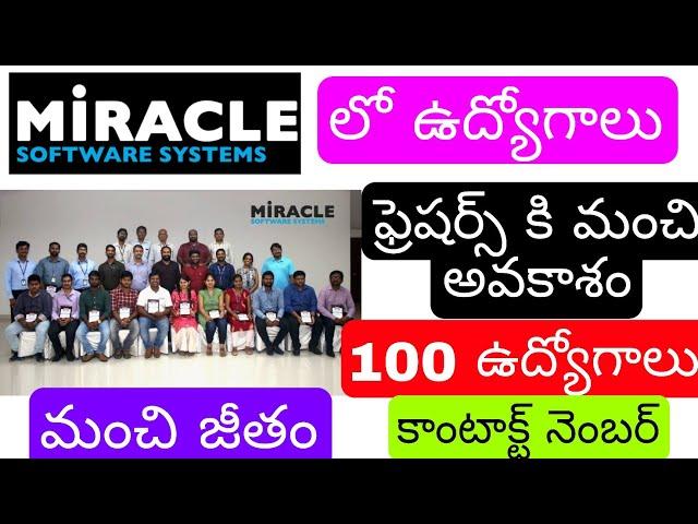 miracle software systems private limit company job openings for fresher's with contact number