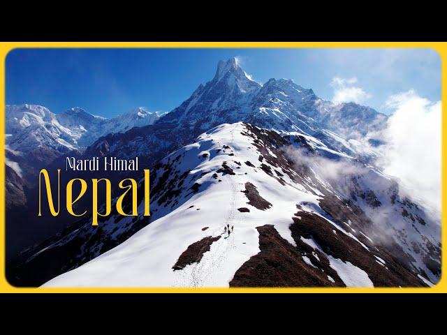 5 Days Hiking The Himalayas Nepal | Mardi Himal Trek