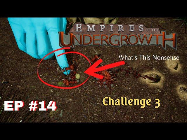 Empires of the undergrowth Formicarium Challenge 3