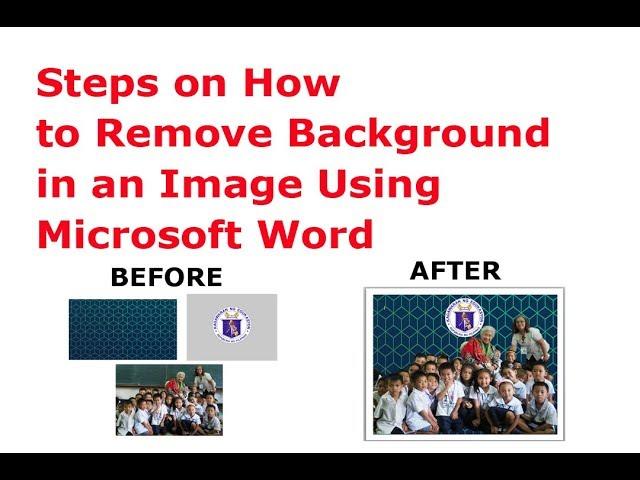 Steps on How to Remove Background in an Image Using Microsoft Word