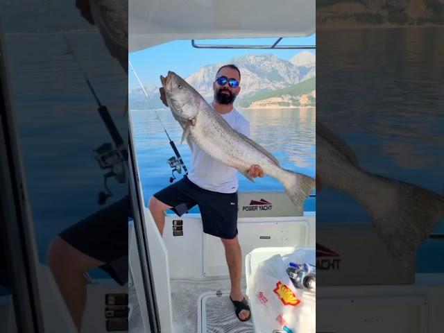 Alanya fishing tour  https://www.alanya-tours.com/en/alanya-fishing-tour   #alanyatour