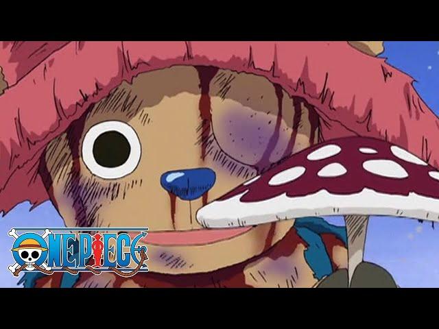 Mushroom | One Piece