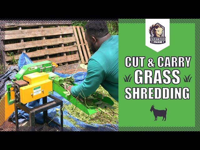 Westsidefarm | Grass Shredding