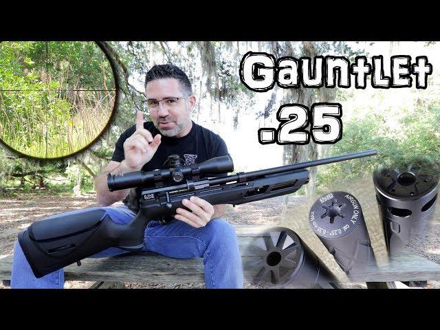 Umarex Gauntlet .25 Air Rifle (Review) + Accuracy TEST - 50 & 100 Yard - Regulated PCP Pellet Gun