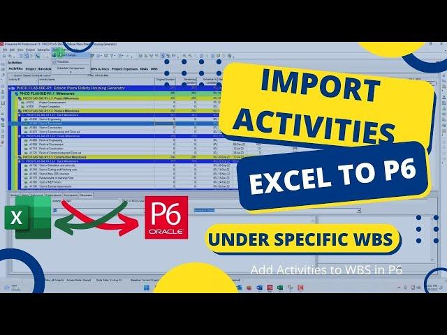 How to Import Activities into P6 from Excel under Specific WBS | Add Activities to WBS in P6