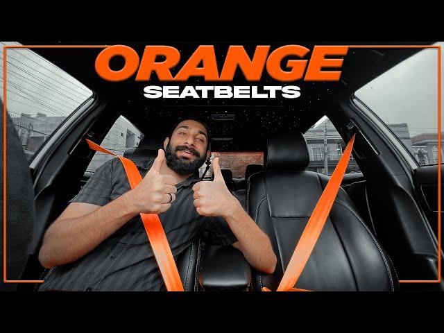 ORANGE IS THE NEW BLACK - The Vibrant Seatbelts