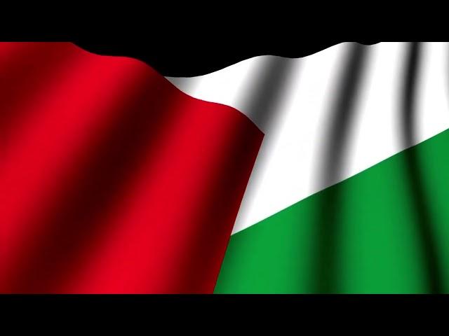 [9 Hours] State of Palestine Flag Waving - Video & Audio - Waving Flags