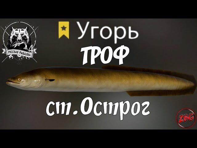 УГОРЬ ТРОФЕЙНЫЙ - ст. ОСТРОГ - ОТВЕТЫ НА ВОПРОСЫ - РУССКАЯ РЫБАЛКА 4