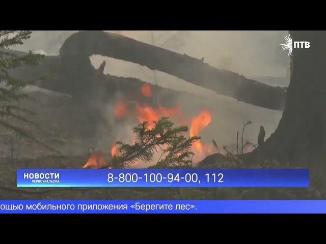 В Свердловской области уже фиксируют лесные пожары