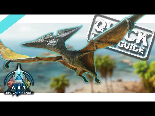 How To Tame A Pteranodon Ark Ascended ASA Quick Taming Guide