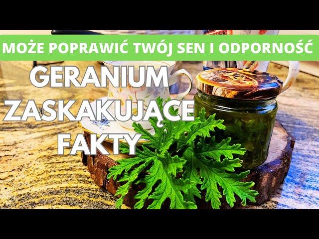 Geranium - zaskakujące fakty. Jak może poprawić twój sen i odporność.