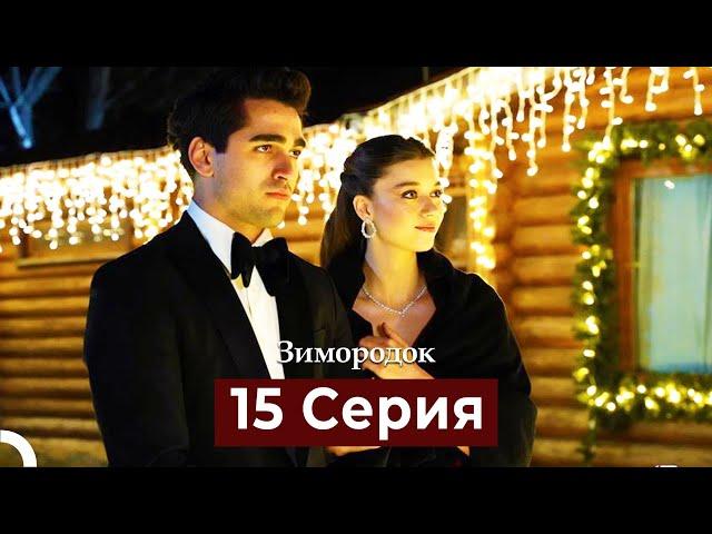 Зимородок 15 Cерия (Русский дубляж)