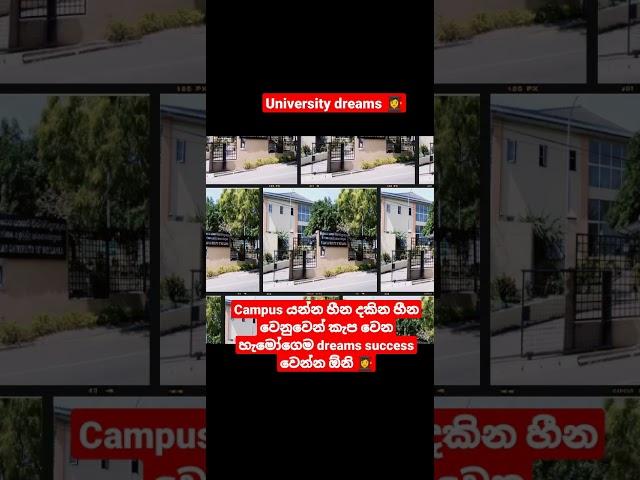 university dreams/srilankan university photo /sabaragamu university and sagara university /campus