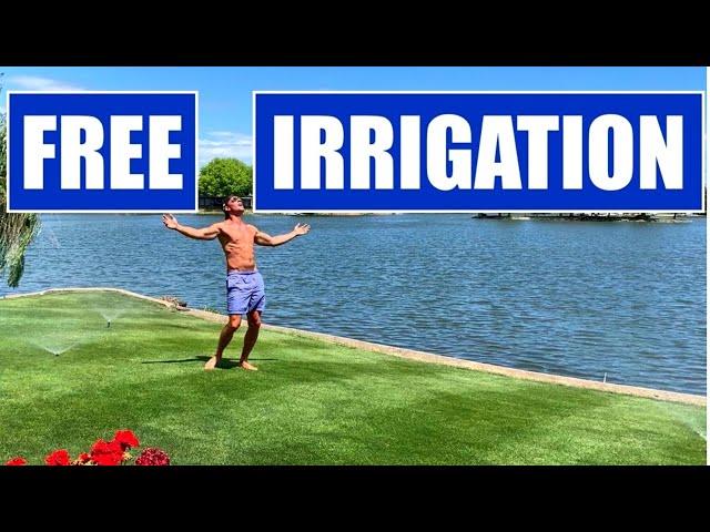 How I get UNLIMITED FREE WATER for a THICK GREEN LAWN