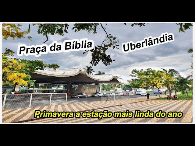 Praça da Bíblia e Rodoviária de Uberlândia MG - Belezas da Primavera