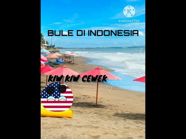 BULE INDONESIA VS BULE MALAYSIA | #countryballsanimation #memes #toxic