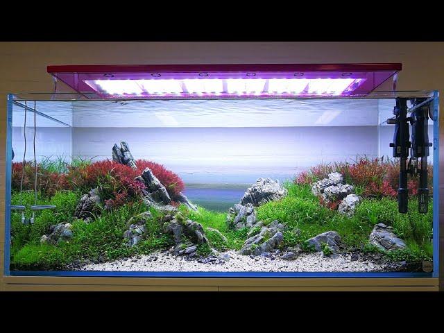 Aquaflora 120cm (360L) | Interzoo 2018