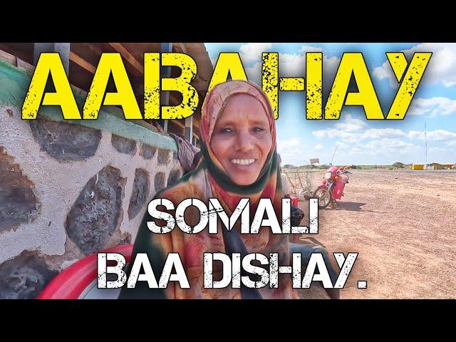 REERKEEDA WAXAA BAABI'IYAY SOMALI WALINA WAY DHOLACADEYNEYSAA | 60 SANNO KA HOR | Ep 20