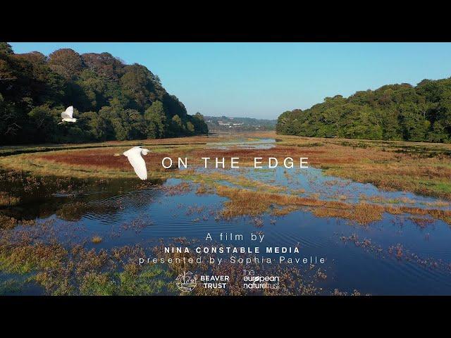 On The Edge | Live Screening and Creators Q&A