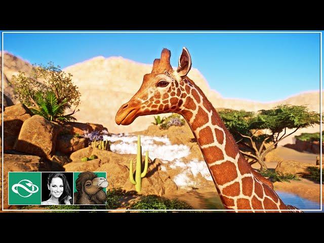  Giraffe, Zebra & Ostrich Habitat | Desert Franchise Mode | Planet Zoo | Ep. 6