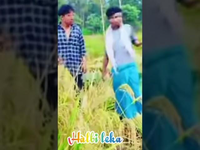 halbi comedy video!! #shorts