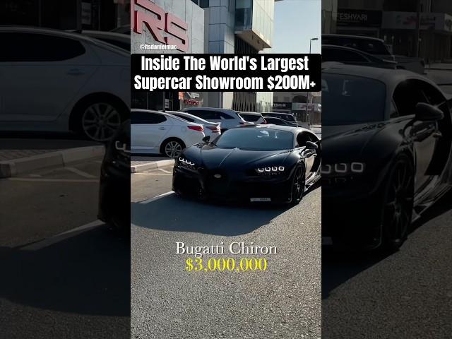 Inside The World's Largest Supercar Showroom $200M+