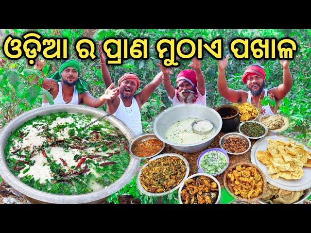 ଦହି ଛୁଙ୍କ ପଖାଳ । ବିଶ୍ୱ ପ୍ରସିଦ୍ଧ ପଖାଳ ଦିବସ ଉପଲକ୍ଷେ। Dahi Pakhala Recipe Cooking For Children