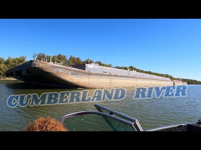 Battling Barges to Fish with a LEGEND! #bluecatfish #flathead #fishingtips