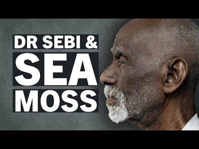 Sea Moss & Dr Sebi - What's That About?