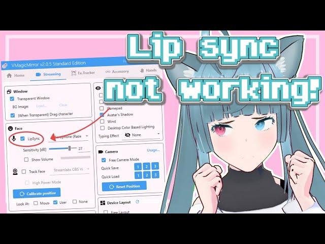 Lip Sync Not Working! Solution! // VMagicMirror