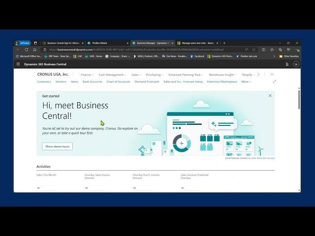 Dynamics 365 Business Central Profiles and Roles Demo