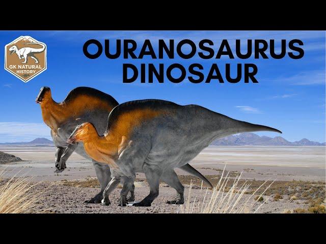 Ouranosaurus Dinosaur