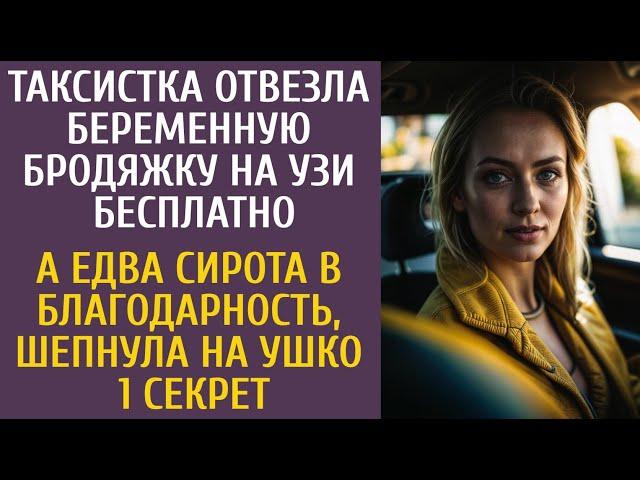 Таксистка отвезла беременную бродяжку на УЗИ бесплатно… А сирота в благодарность сказала 1 секрет…