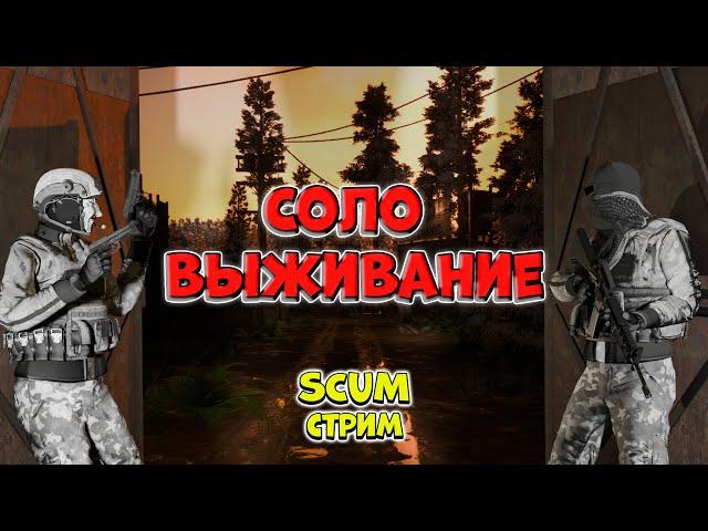 Поиски самолета для ... - SCUM стрим | boosty