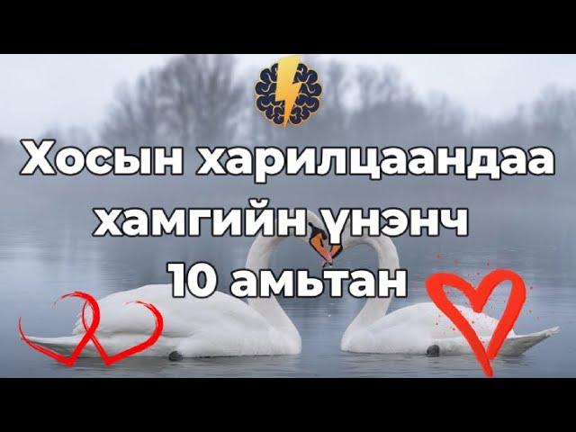 Хосын харилцаандаа хамгийн үнэнч 10 амьтан