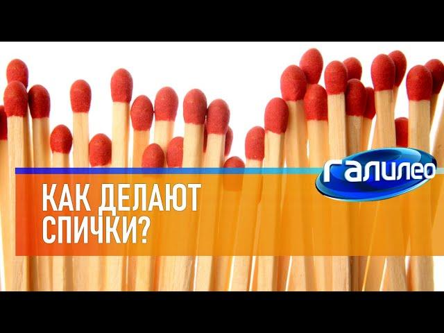 Галилео  Как делают спички?