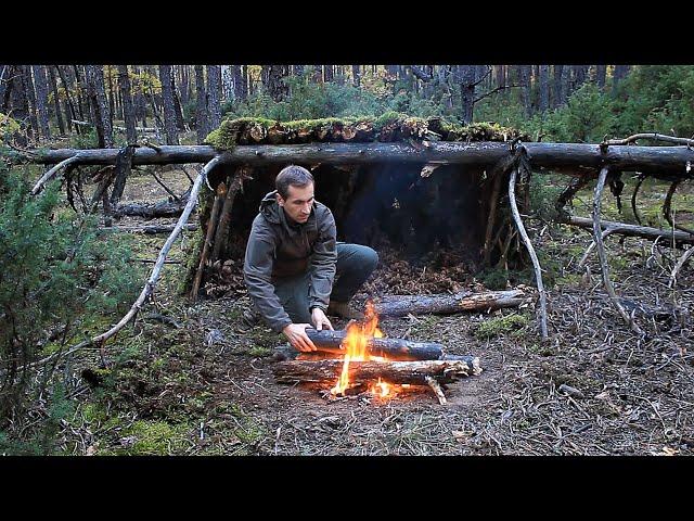 Survival in the Woods with One Knife, Overnight in Natural Bushcraft Shelter, Edible Mushrooms