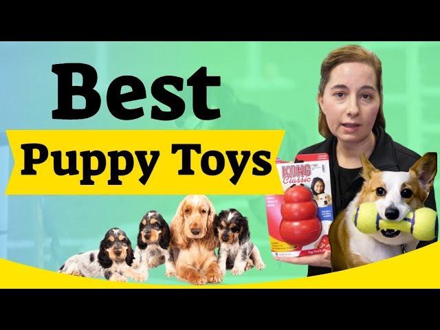 Best Puppy Toys to Keep Them Busy