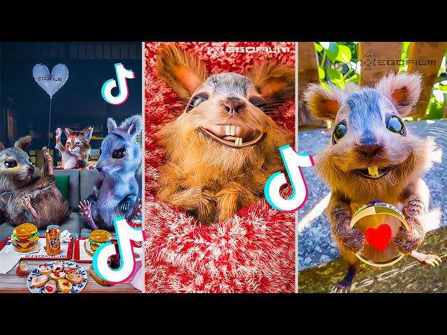 EGOFILM TIKTOK BESTOF - TIKTOK'S MOST FAMOUS SQUIRREL - PART 2 (TikTok & Short Compilation) ️️