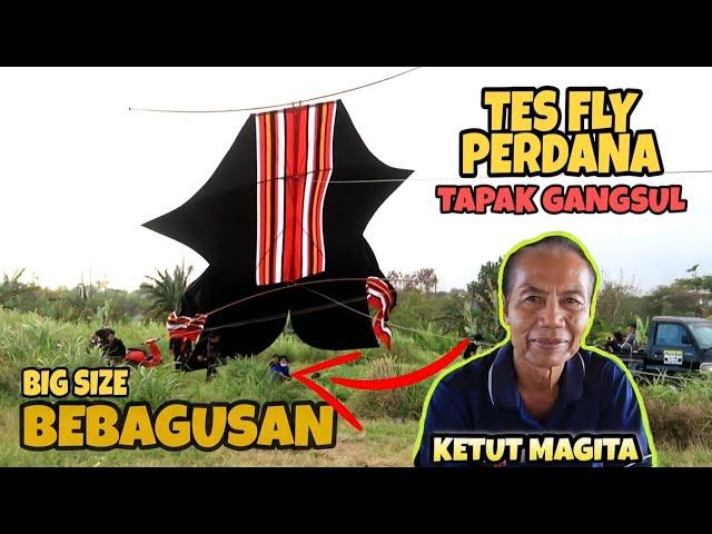 Test Fly Perdana Bebean Big Size Rare Angon Banjar Tainsiat Dan Tampak Gangsul