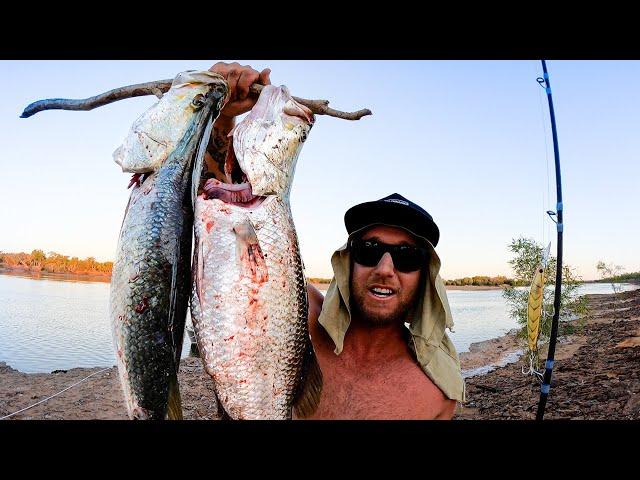 CAMPING REMOTE AUSTRALIA - SHARKS, CROCODILES, BARRAMUNDI. BUSH COOKING!